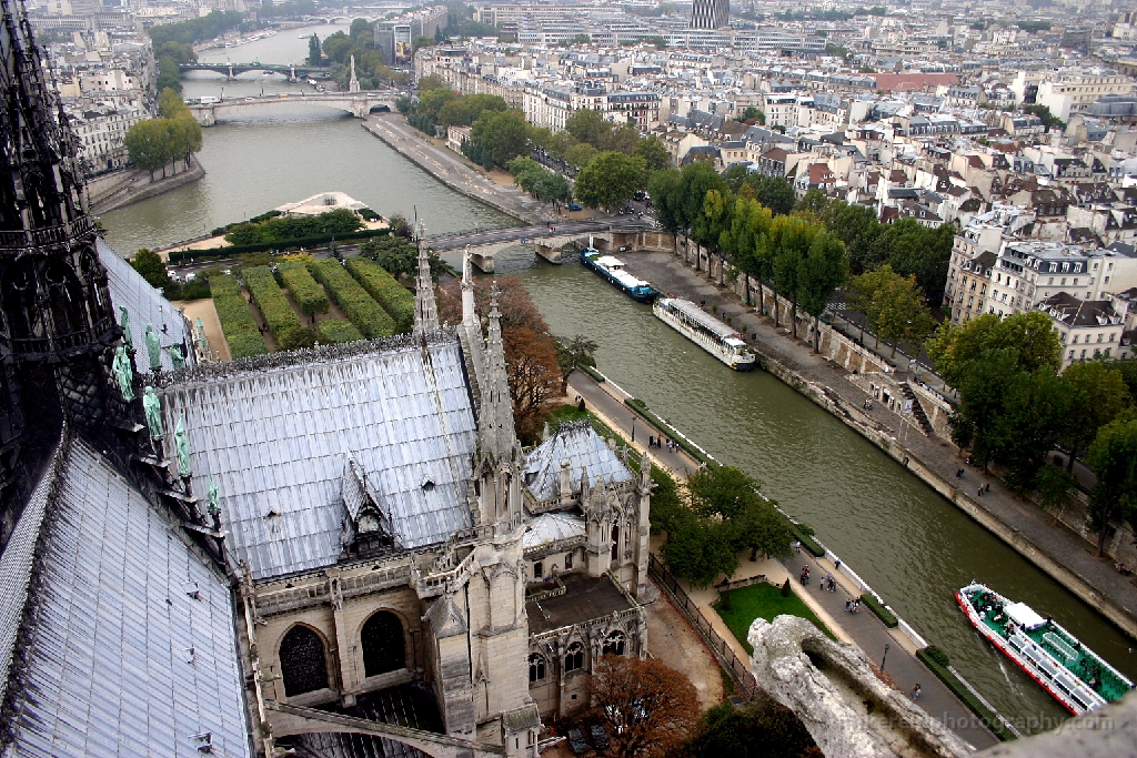 Notre Dame View